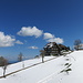 Hohe Buche