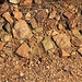 Neugraben, glitzernder Gewässergrund (glimmerhaltiges Gestein)