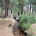 Neugraben vor Querung des Gabelweges