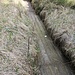 Neugraben, trocken mit Holzausbau