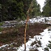 Knabberspuren 
