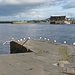 Galway: Zwischen Meer und Fluss