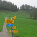 Der Weg Richtung Chürstein - Gäbris. Das üble Wetter lässt mich jedoch den Heimweg antreten.<br />[http://www.hikr.org/gallery/photo203612.html?post_id=17449#1 Hier dieselbe Ansicht bei Mondschein].