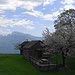 Monti del Laghetto zur Frühlingsblüte