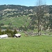 das kleine Dorf (Feutersoey) im Saanenland