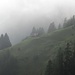 ...und der Nebel bleibt hartnäckig...