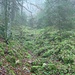 in der Combe du Bez