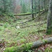 in der Combe du Bez