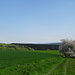 "Knüll"-Panorama unterhalb von Olberode