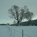 Winterwelt Jura