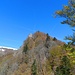So! Hier geht's nun hinauf. Im Wald führen Trittspuren zu den ersten Felsen oberhalb des Sattels.
