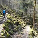 ...noch einigermaßen Alpin.