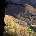 Foroglio