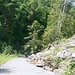 Aufstieg zum Steigrat: Eine kleine Gerölllawine verschüttete die Forststrasse im Schübelsmoosgraben während der letzten Starkniederschläge.