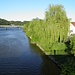 Mündung der Vils in die Donau