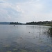 Lago di Varese a Biandronno con Isolino Virginia