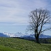 L'Eiger, le Mönch et la Jungfrau apparaissent