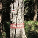 Markierung des Betretungsverbots bei Naturschutzgebieten