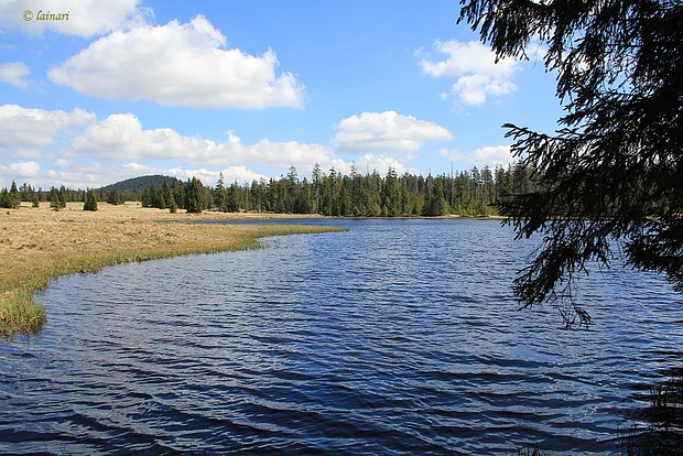 Božídarský Špičák 1115m Tourenberichte und Fotos