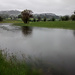 Ein überschwemmtes Feld beim Chämtnerbach