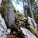Aufstieg zum Dampfschiff. Das Gelände ist steiler als es auf dem Foto wirkt.