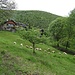 Alpe di Caviano.