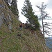 Aufstieg über den Grete-Klinger-Steig zum Slezakkreuz