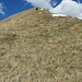 Und noch ein paar Buidl'n vom Sven: Hier im recht steilen (teils 30-35 Grad) Grasaufstieg zum Mantschen