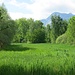 Les Grangettes