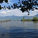 Seeblick vom Jardin Instinctif