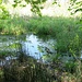 Feuchtgebiete