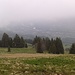 Im Schneefall Buchs entgegen.