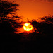 Sundowner III