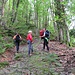 Foto Giansa