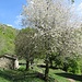Foto Giansa