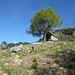 Cappella Santa Maria (1498 m)