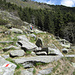 in der Traverse zur Alpe Sassello