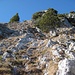 kurzer Klettersteig durch die steilen Schrofen zum Ettaler Manndl
