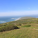Tomales Point is at the very tip of the Point Reyes Peninsula 