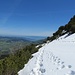 Von der Chlus bis 100 m vor der Ebenalp lag noch viel Schnee