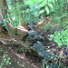 Manebächli
