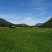 Schöne Weidewiesen beim Rückweg nach Oberau