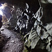 In der Cave Noire
