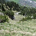 Die Grashalde ist steil, aber gut gestuft (T5). Weit unten sieht man die Bergstation der Materialseilbahn der Alp Vorderspina.