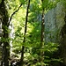 Die Schlucht ist eng und beidseits von senkrechten Wänden begrenzt.