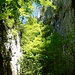 In der Wolfsschlucht.