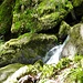 Detail des Bachlaufs in der Wolfsschlucht.