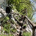 Im Aufstieg zum Bärenloch.