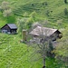 Harzengraben (957 Meter).