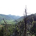 Panorama: Rechts Harzengraben links das Tal.